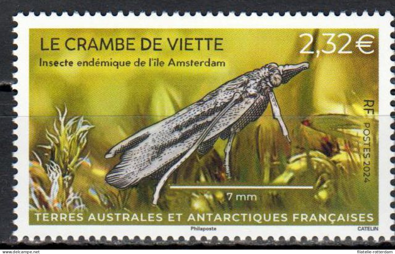 TAAF - Postfris / MNH - Insects 2024 - Nuevos