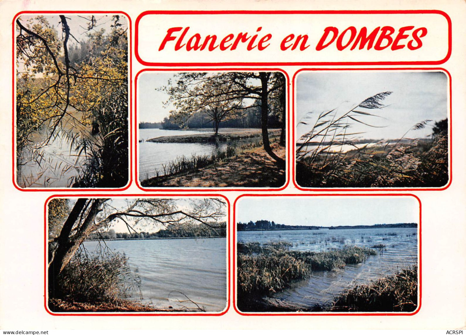 01 Flanerie En Dombes    (Scan R/V) N°   13   \QQ1110Ter - Villars-les-Dombes