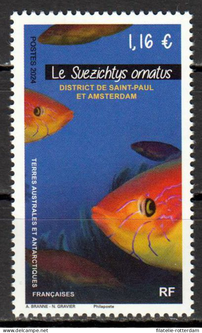 TAAF - Postfris / MNH - Fish 2024 - Unused Stamps