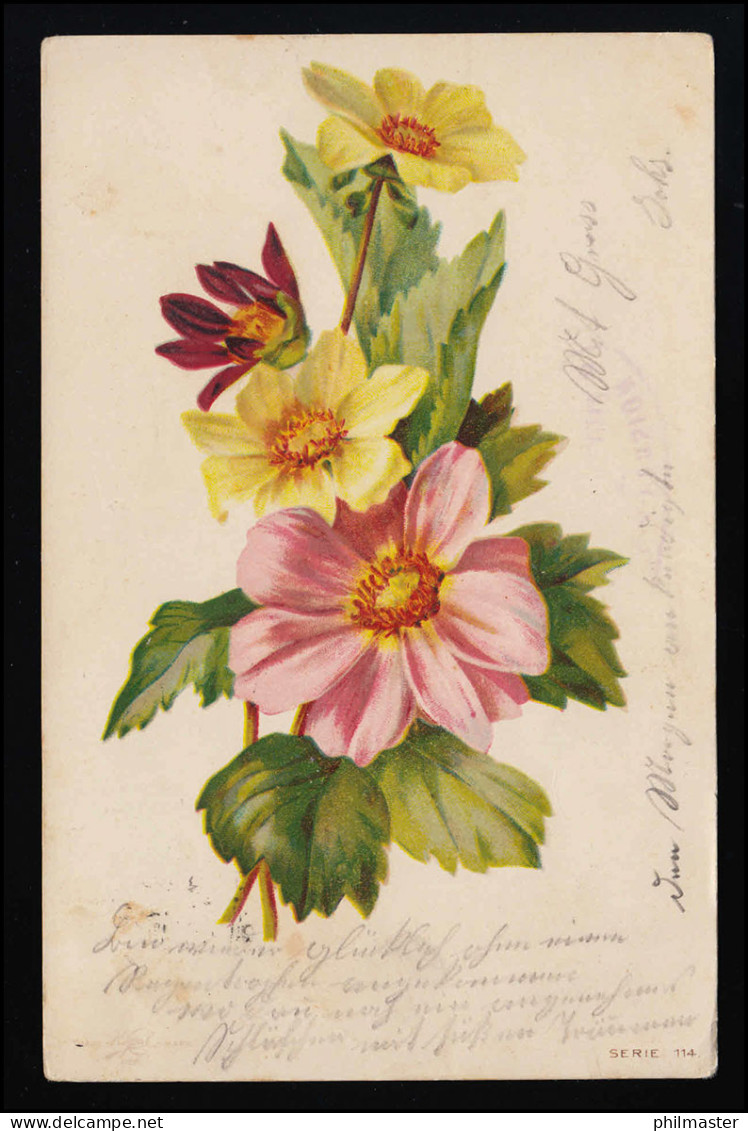 AK Blumen, Narzissen Und Rosa /lila Blüten, HERISAU / SCHWELLBRUNN 5.8.1903 - Sonstige & Ohne Zuordnung