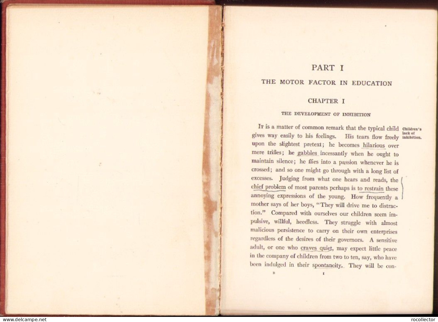 Dynamic factors in education by M V O’Shea 1906 C3928N