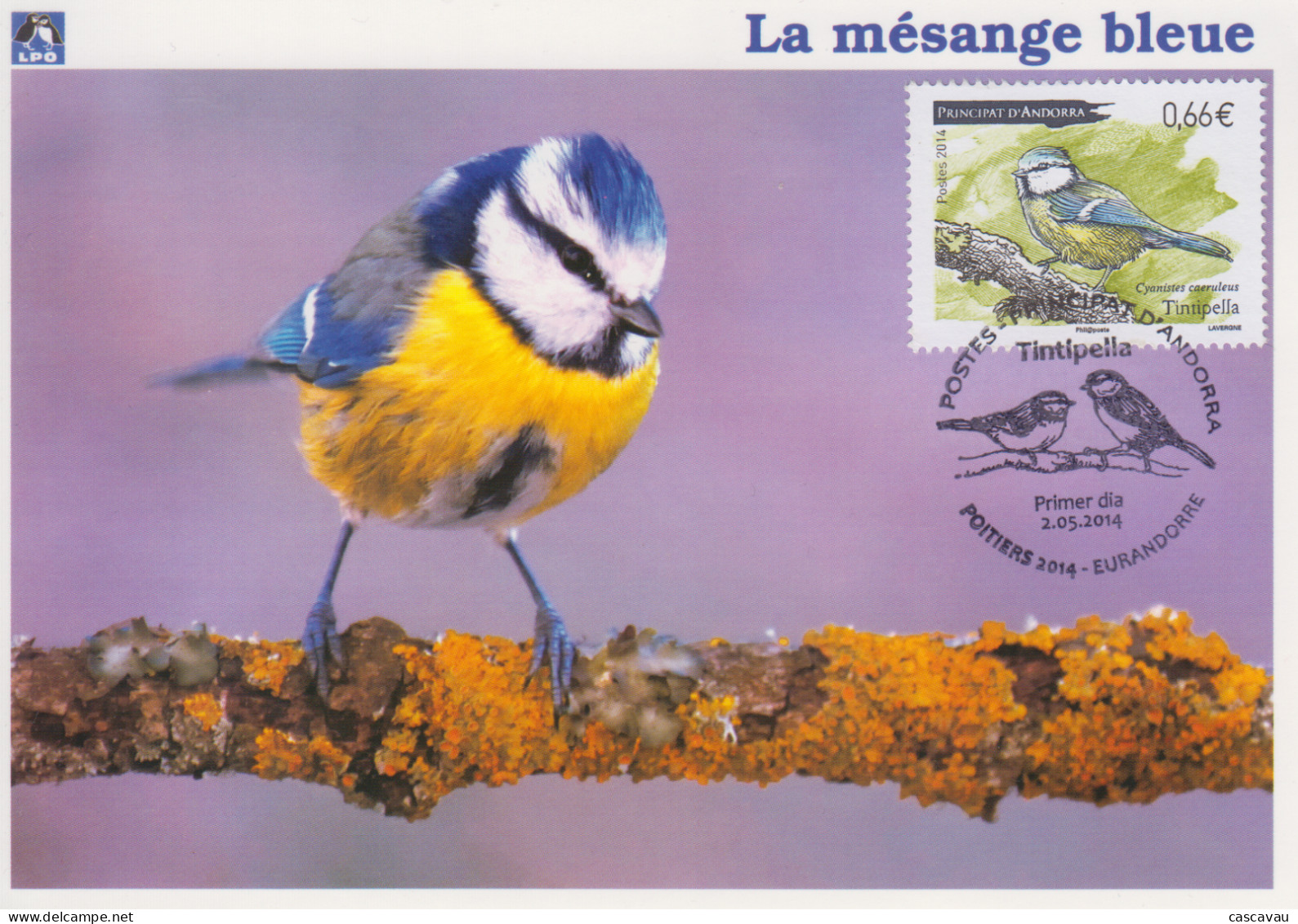 Carte  Maximum  1er  Jour   ANDORRE   ANDORRA    La  Mésange  Bleue   EURANDORRE    POITIERS   2014 - Cartas Máxima