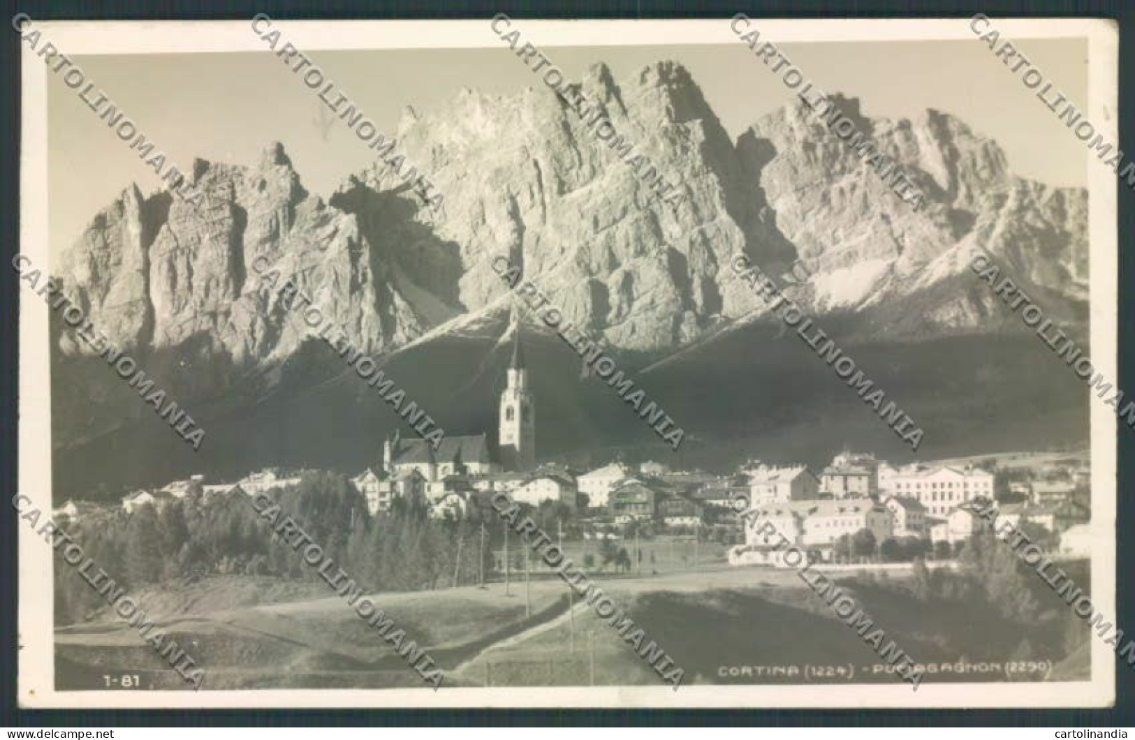 Belluno Cortina D'Ampezzo Foto Cartolina LQ9113 - Belluno