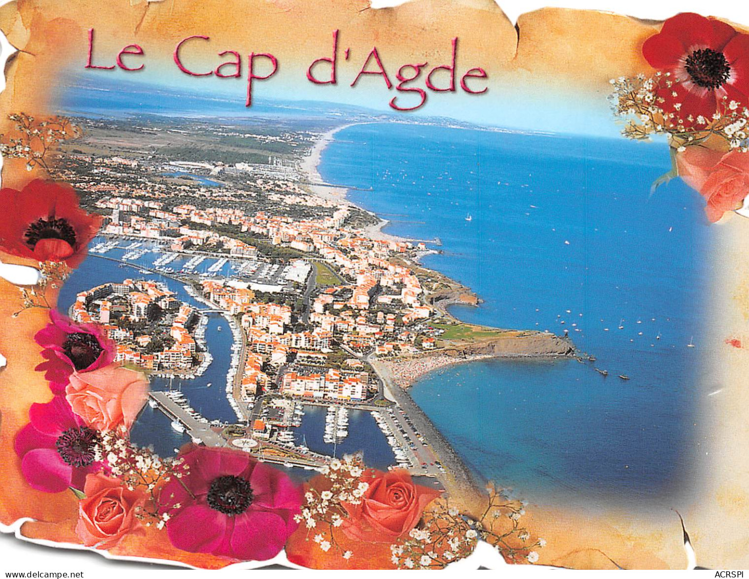 34 Le Cap D'Agde   Vue Générale Aérienne Panoramique       (Scan R/V) N° 12 \PFRCR00091 P - Agde