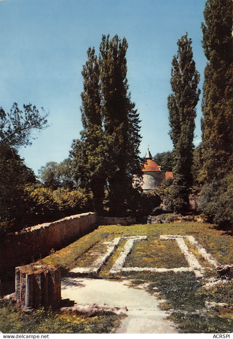 Abbaye De Port Royal Ruines De L'église  43 (scan Recto Verso)PFRCR00083P - Maurepas