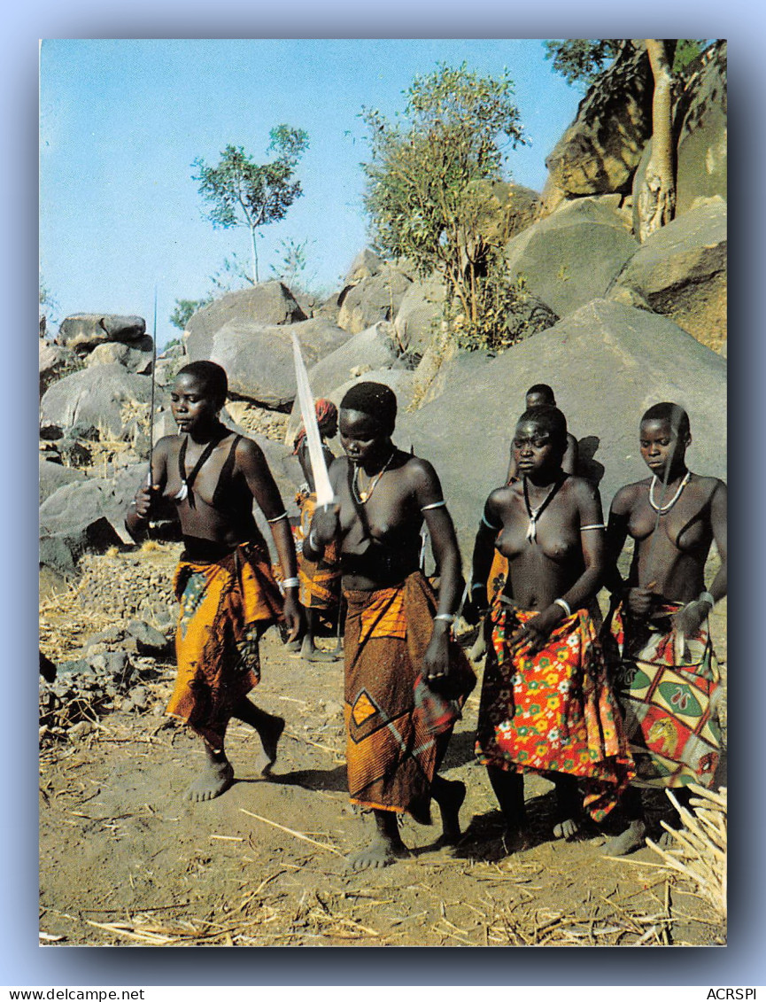 MOKOLO CAMEROUN  La Danse Du Boeuf  60  (scan Recto-verso) PFRCR00076 P - Kameroen