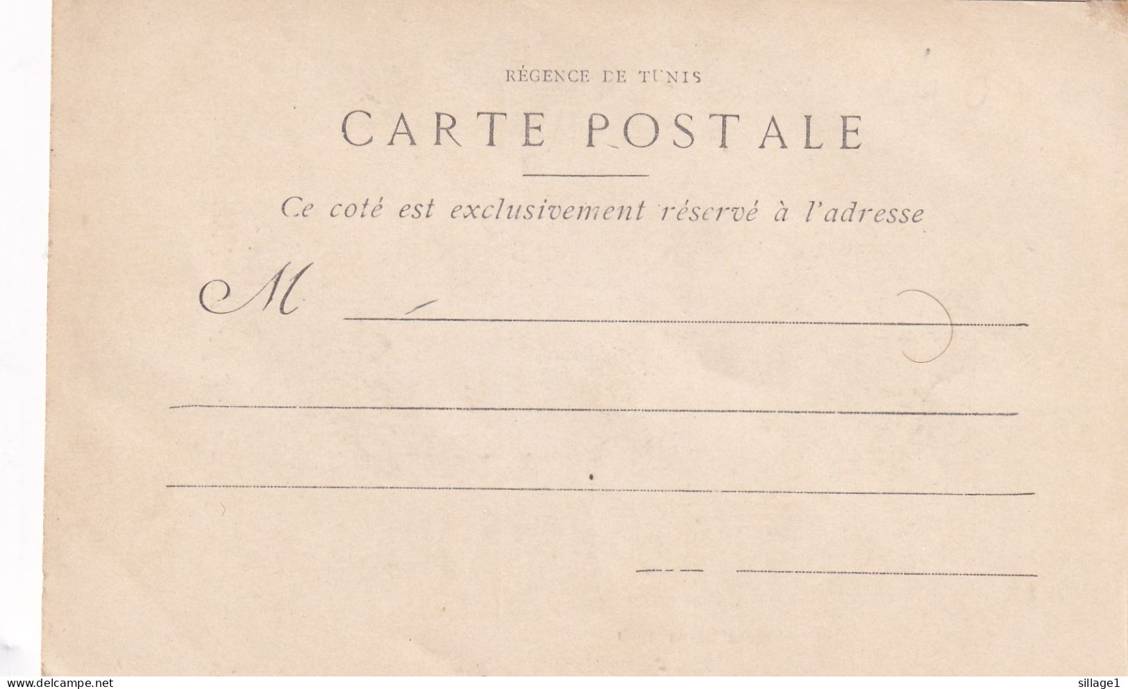 Type De Bédouin - N° 59 - PHT. LOUIT, TUNIS Vue Peu Commune Carte Postale Précurseure Ancienne Originale RARE - Tunisie