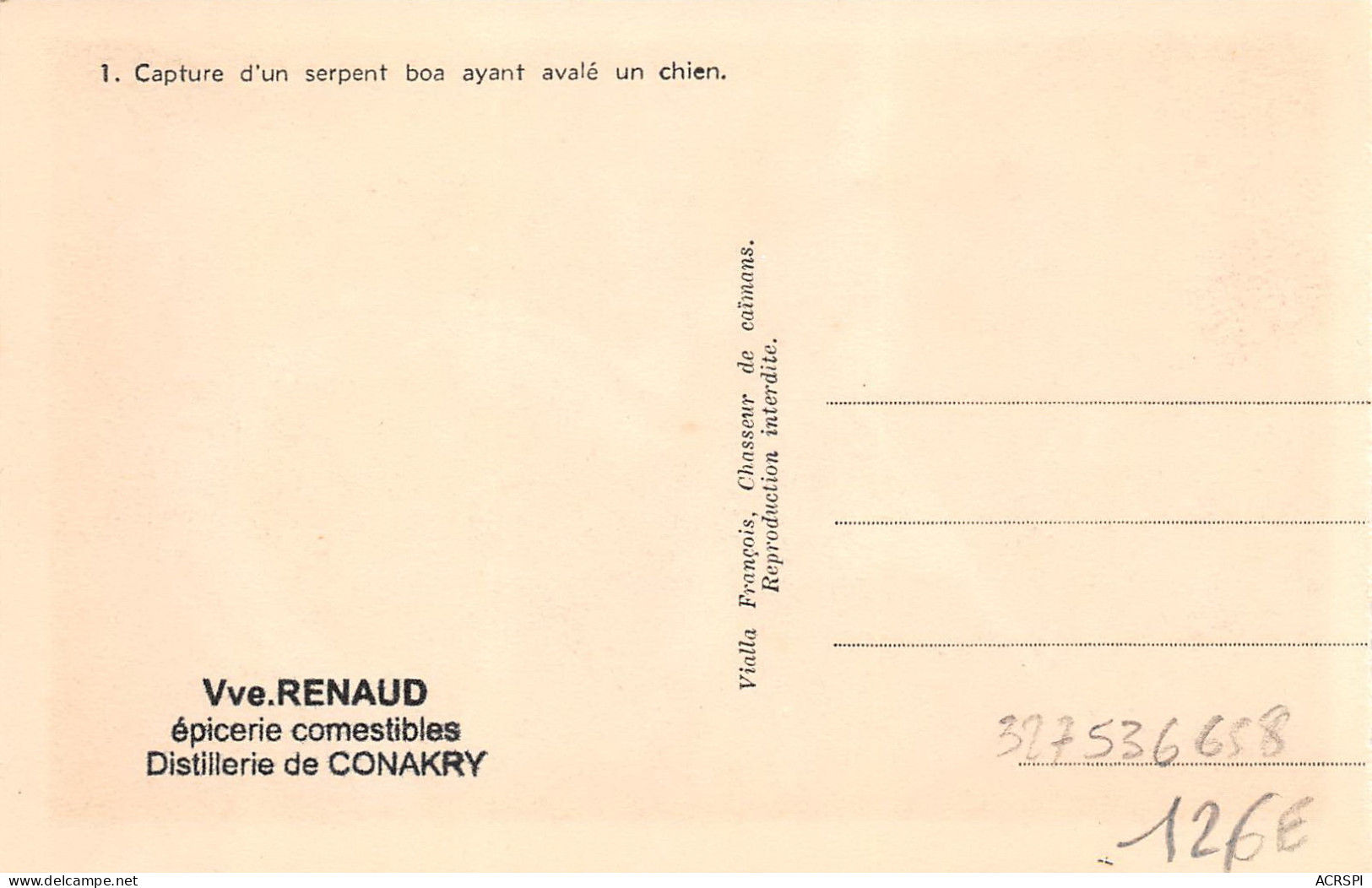 GUINEE Francaise VIALLA Francois Capture D'un Serpent BOA  Ayant Avalé Un Chien 12  (scan Recto-verso) PFRCR00076 P - Guinée Française