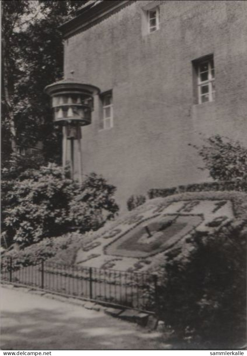 55212 - Zittau - Blumenuhr Und Meissner Glockenspiel - 1974 - Zittau