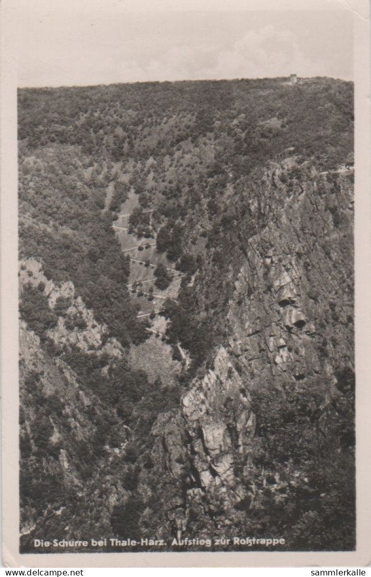 29534 - Thale - Die Schurre - Ca. 1960 - Thale