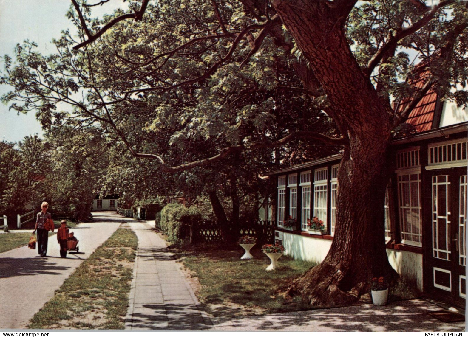 2941 SPIEKEROOG, Strassenpartie, 1977 - Wittmund