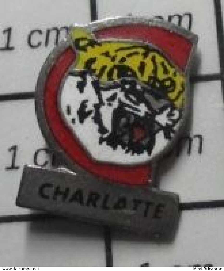 2722 Pin's Pins / Beau Et Rare / MARQUES / TIGRE ET LETTRE C ROUGE CHARLATTE - Marcas Registradas