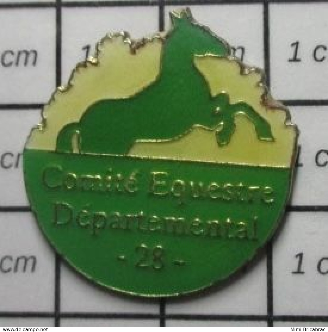 311a Pin's Pins / Beau Et Rare / ANIMAUX / CHEVAL VERT COMITE EQUESTRE DEPARTEMENTAL DU 28 EURE ET LOIR - Animaux