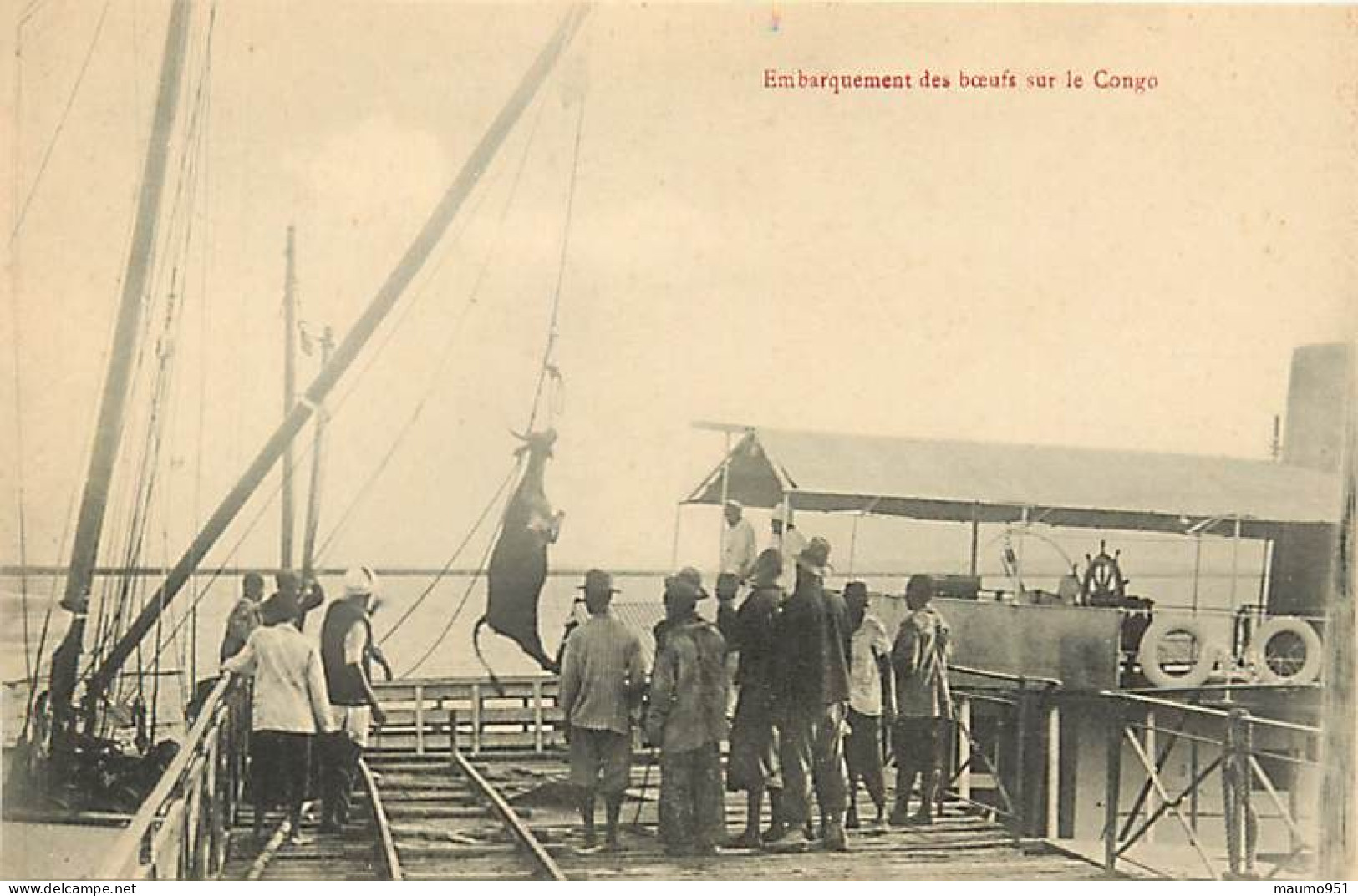 AFRIQUE CONGO FRANCAIS - Embarquement Des Boeufs Sur Le Congo - Congo Français