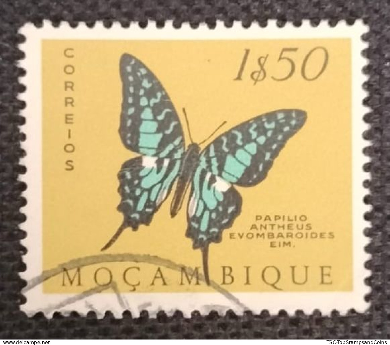 MOZPO0396U4 - Mozambique Butterflies  - 1$50 Used Stamp - Mozambique - 1953 - Mozambique