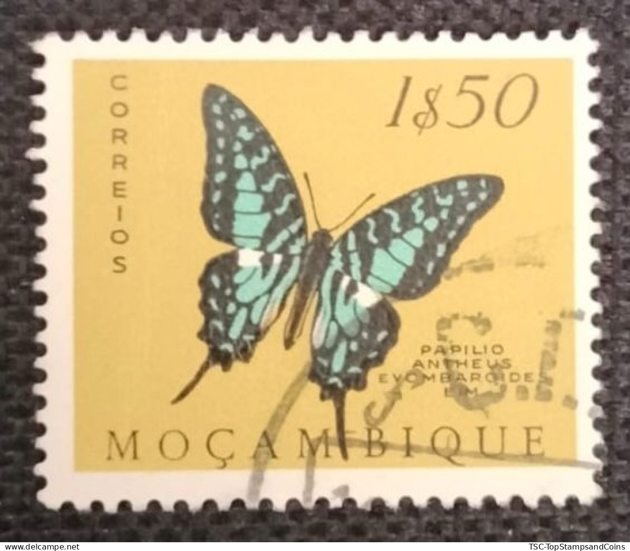 MOZPO0396U5 - Mozambique Butterflies  - 1$50 Used Stamp - Mozambique - 1953 - Mozambique