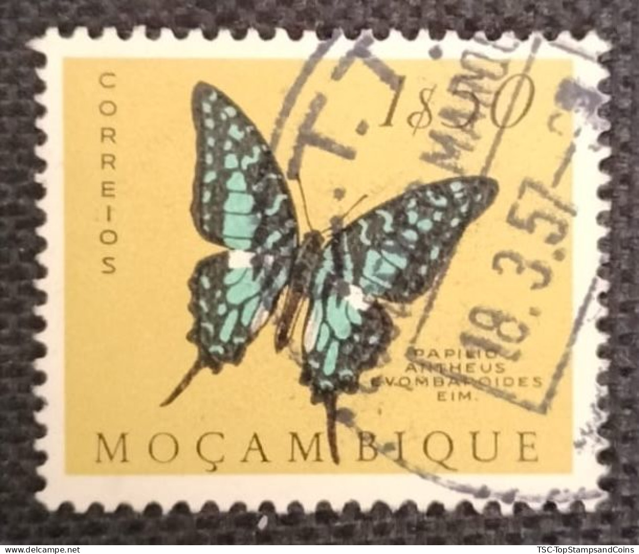 MOZPO0396U6 - Mozambique Butterflies  - 1$50 Used Stamp - Mozambique - 1953 - Mozambique