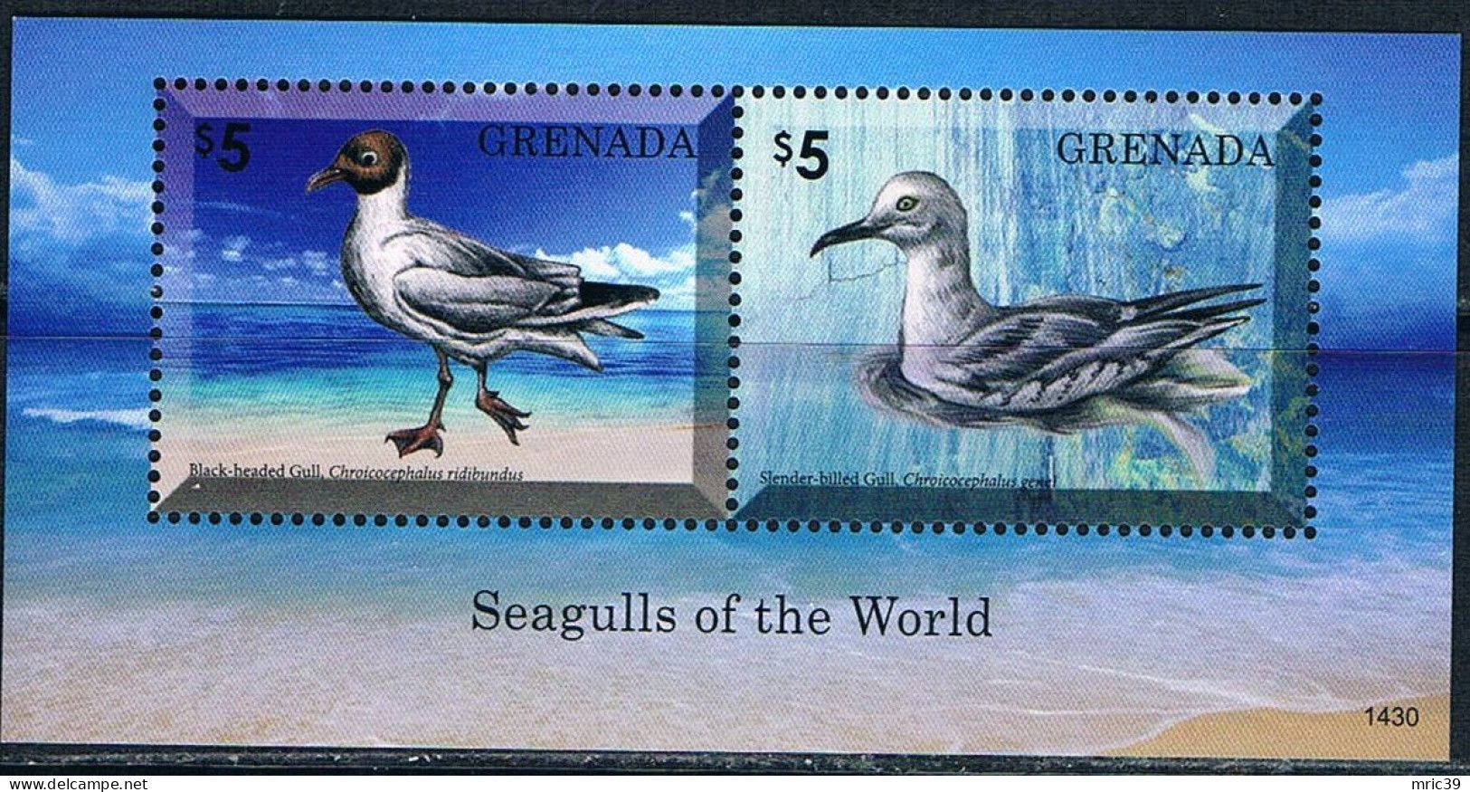 Bloc Sheet Oiseaux De Mer Mouettes Birds Seagulls Neuf  MNH **  Grenada 2014 - Gabbiani