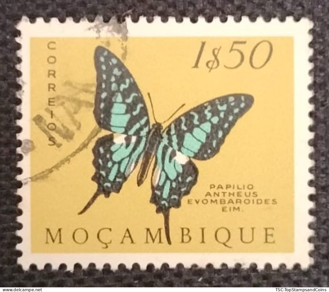 MOZPO0396U7 - Mozambique Butterflies  - 1$50 Used Stamp - Mozambique - 1953 - Mozambique