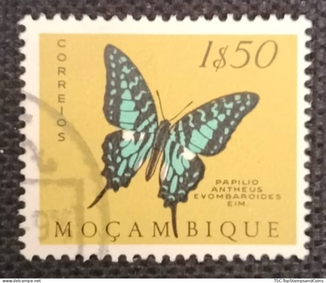 MOZPO0396U8 - Mozambique Butterflies  - 1$50 Used Stamp - Mozambique - 1953 - Mozambique