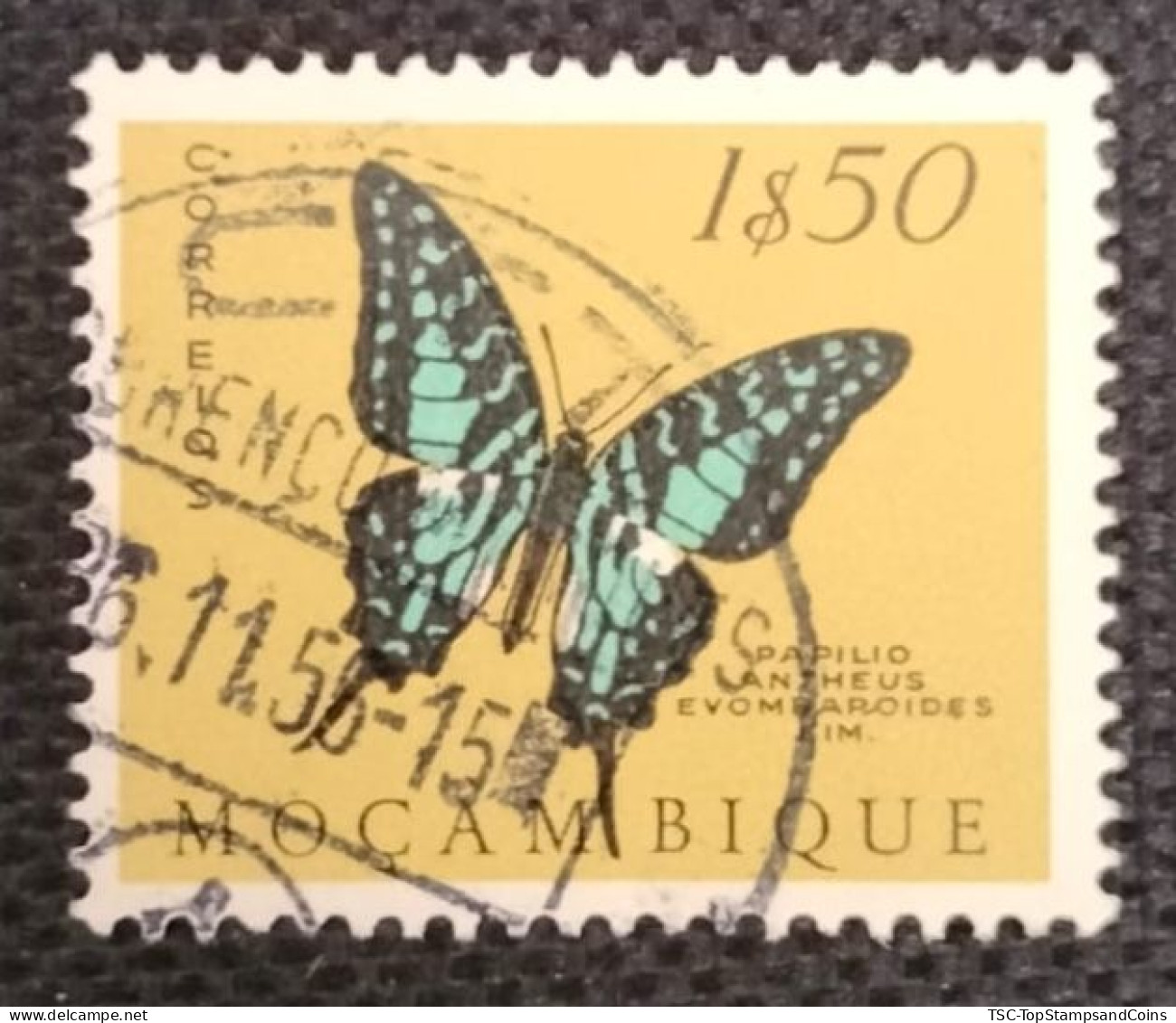 MOZPO0396U9 - Mozambique Butterflies  - 1$50 Used Stamp - Mozambique - 1953 - Mozambique