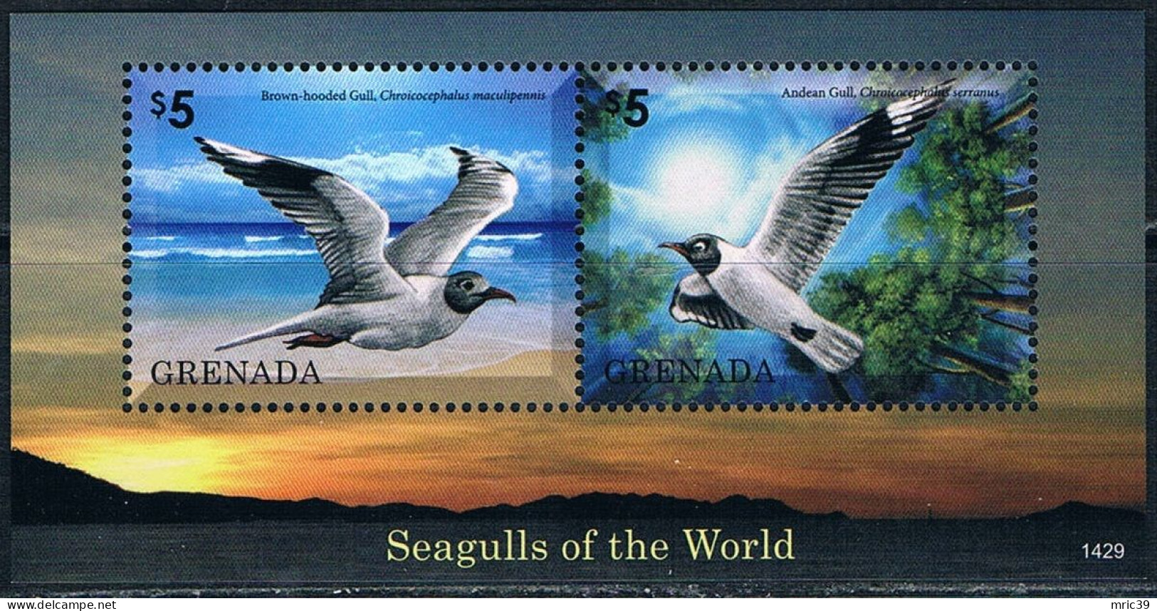 Bloc Sheet Oiseaux De Mer Mouettes Birds Seagulls Neuf  MNH **  Grenada 2014 - Möwen