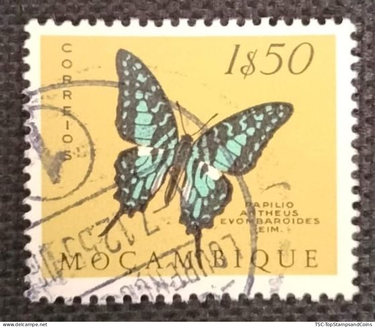 MOZPO0396UA - Mozambique Butterflies  - 1$50 Used Stamp - Mozambique - 1953 - Mozambique