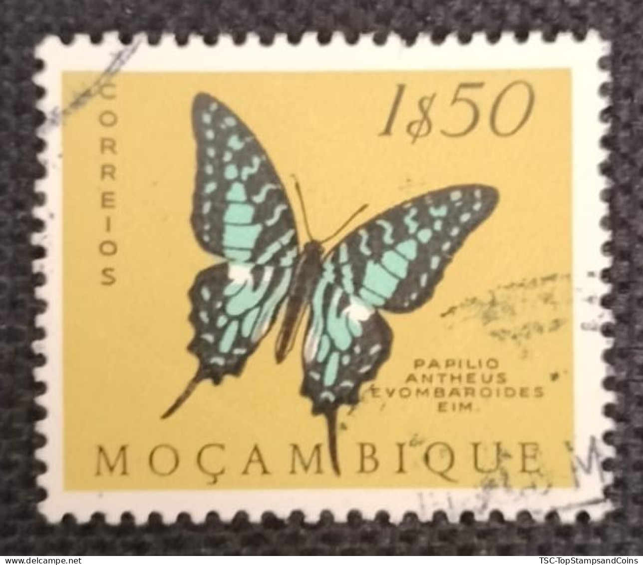 MOZPO0396UB - Mozambique Butterflies  - 1$50 Used Stamp - Mozambique - 1953 - Mozambique