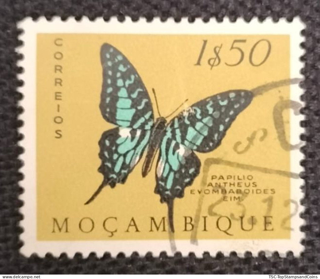 MOZPO0396UC - Mozambique Butterflies  - 1$50 Used Stamp - Mozambique - 1953 - Mozambique