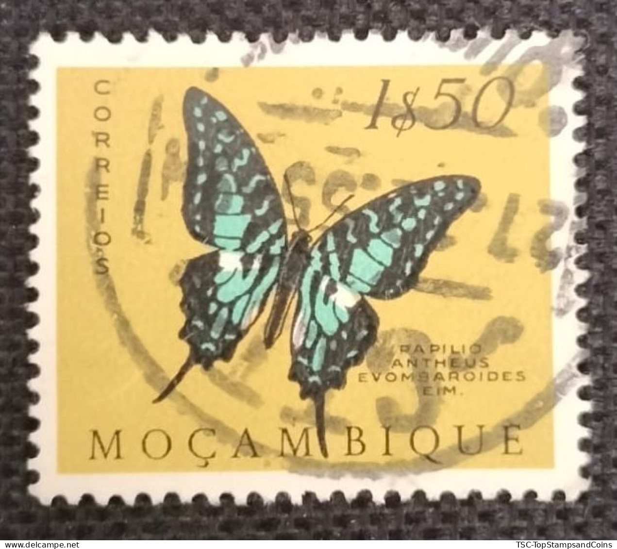 MOZPO0396UD - Mozambique Butterflies  - 1$50 Used Stamp - Mozambique - 1953 - Mozambique