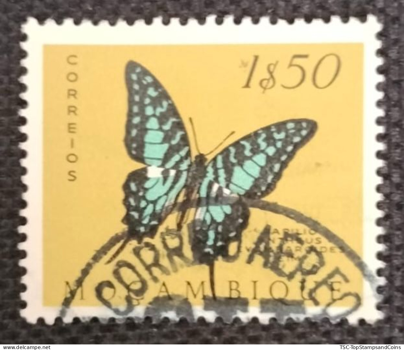 MOZPO0396UE - Mozambique Butterflies  - 1$50 Used Stamp - Mozambique - 1953 - Mozambique