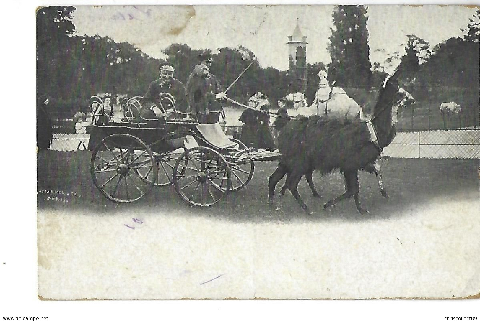 Carte Postale Paris : Promenade Au Parc En Attelage Lama En Compagnie D'un Singe  1926 - Parken, Tuinen