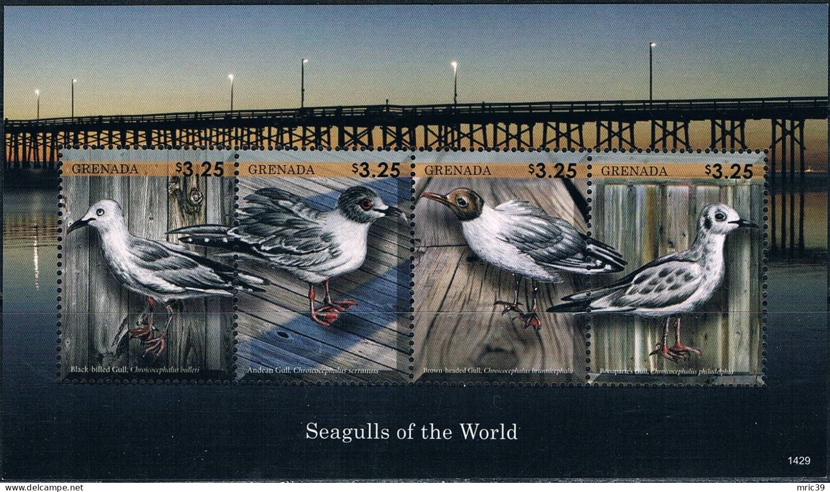 Bloc Sheet Oiseaux De Mer Mouettes Birds Seagulls Neuf  MNH **  Grenada 2014 - Meeuwen