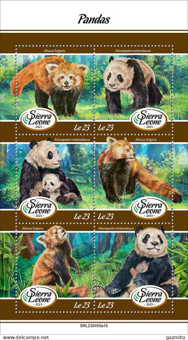 Sierra Leone 2023, Animals, Panda, 6val In BF - Sierra Leona (1961-...)