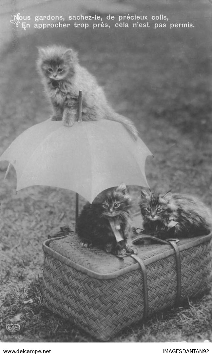 CHATS AC#MK899 CHATONS PANIER PARAPLUIE - Chats