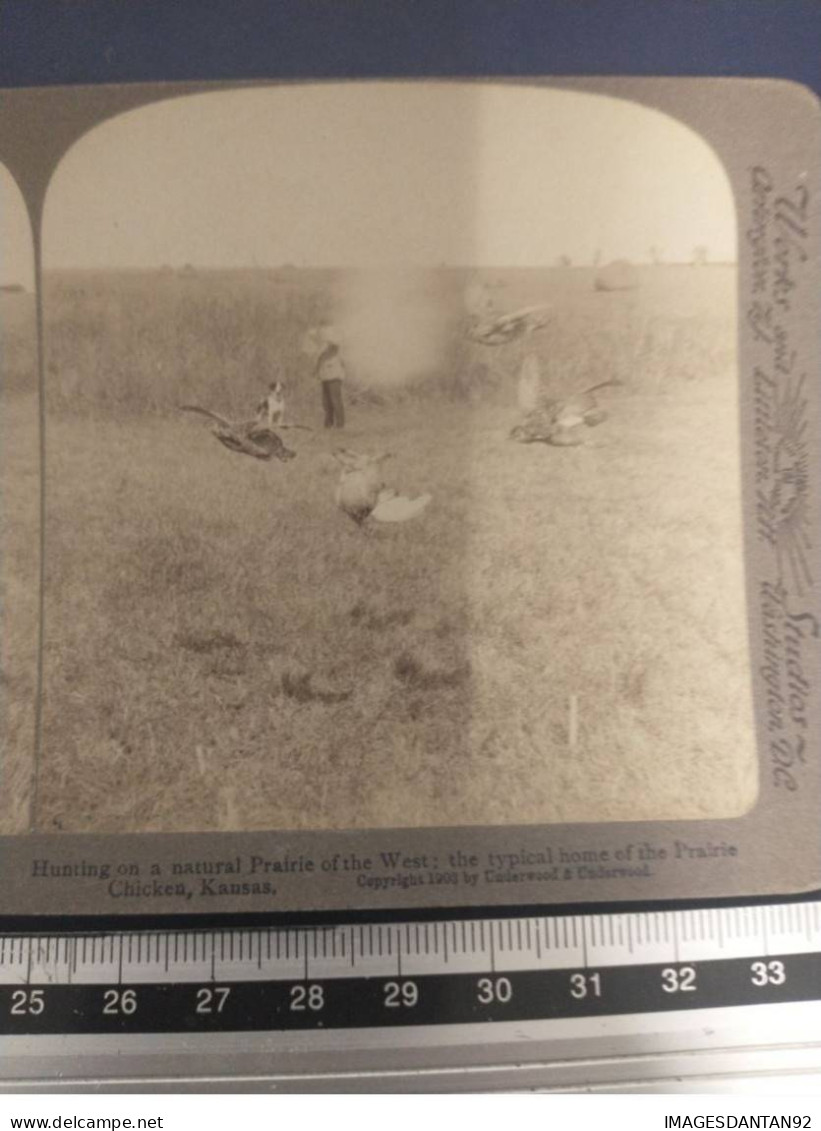 CHASSE #FG54668 HUNTING CHASSEUR COUP DE FUSIL AU KANSAS PHOTO STEREOTYPE 19 EME - Caza
