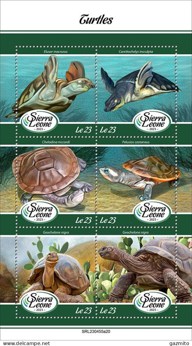 Sierra Leone 2023, Animals, Turtle, 6val In BF - Sierra Leona (1961-...)