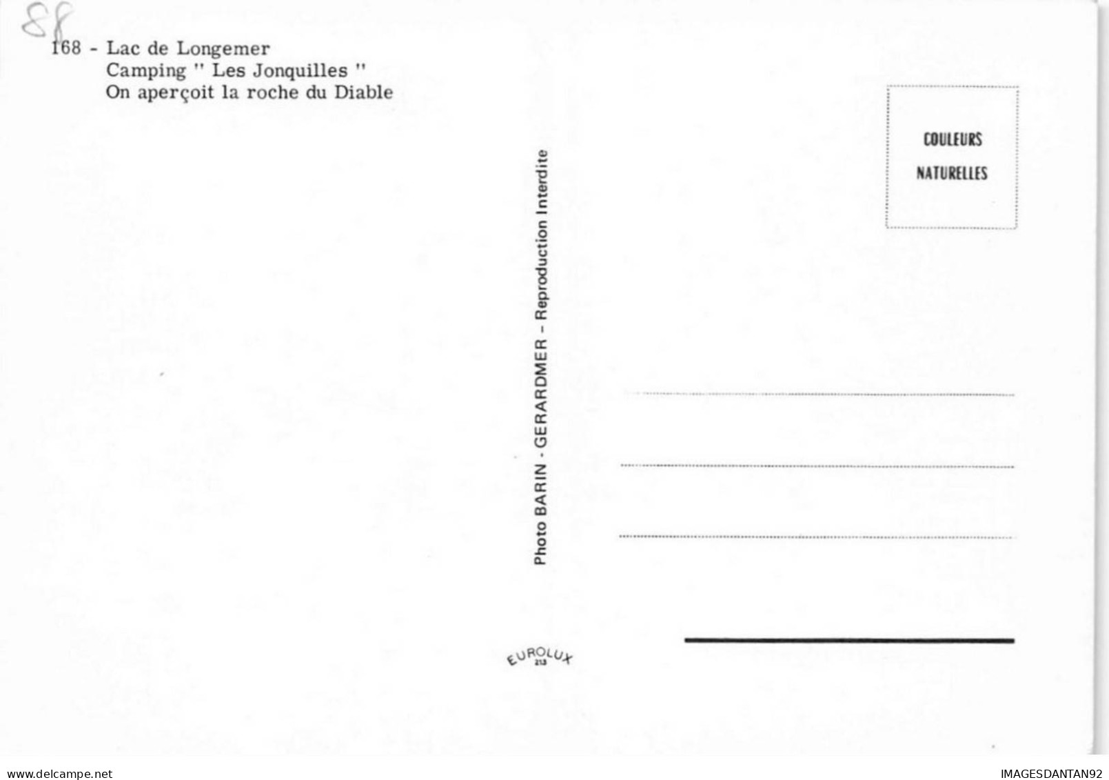 88 VOSGES AE#DC782 LE LAC DE LONGEMER LA CAMPING LES JONQUILLES AU FOND LA ROCHE DU DIABLE - Andere & Zonder Classificatie