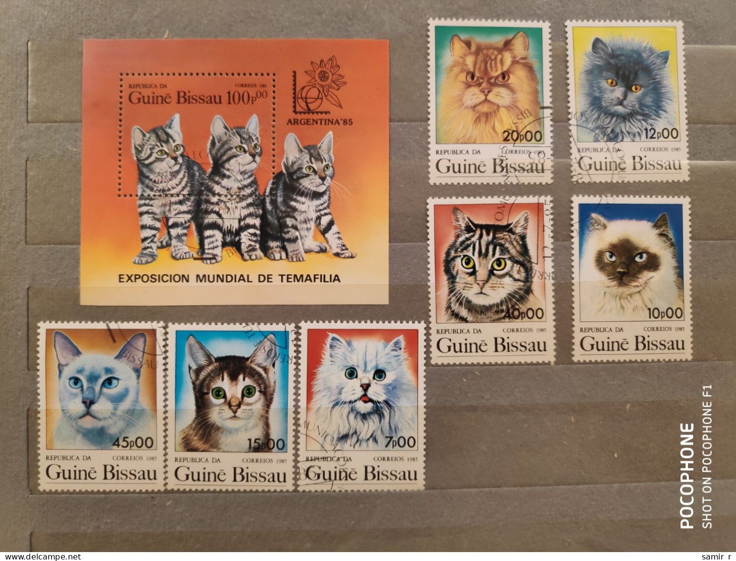 1985	Guinea	Cats (F87) - Guinée (1958-...)