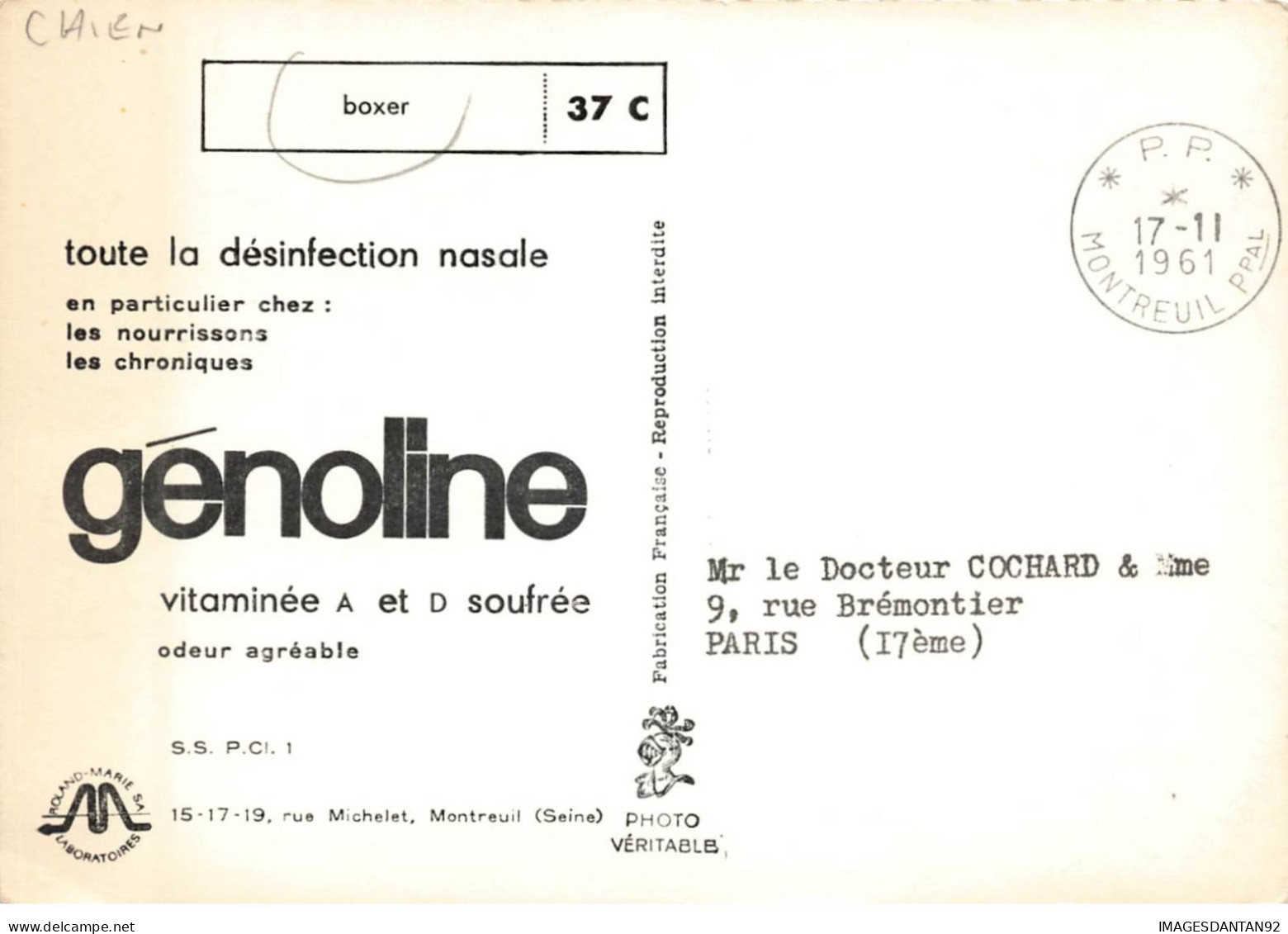 CHIENS AF#DC527 CHIEN BOXER + PUBLICITE DESINFECTION NASALE GENOLINE - Chiens