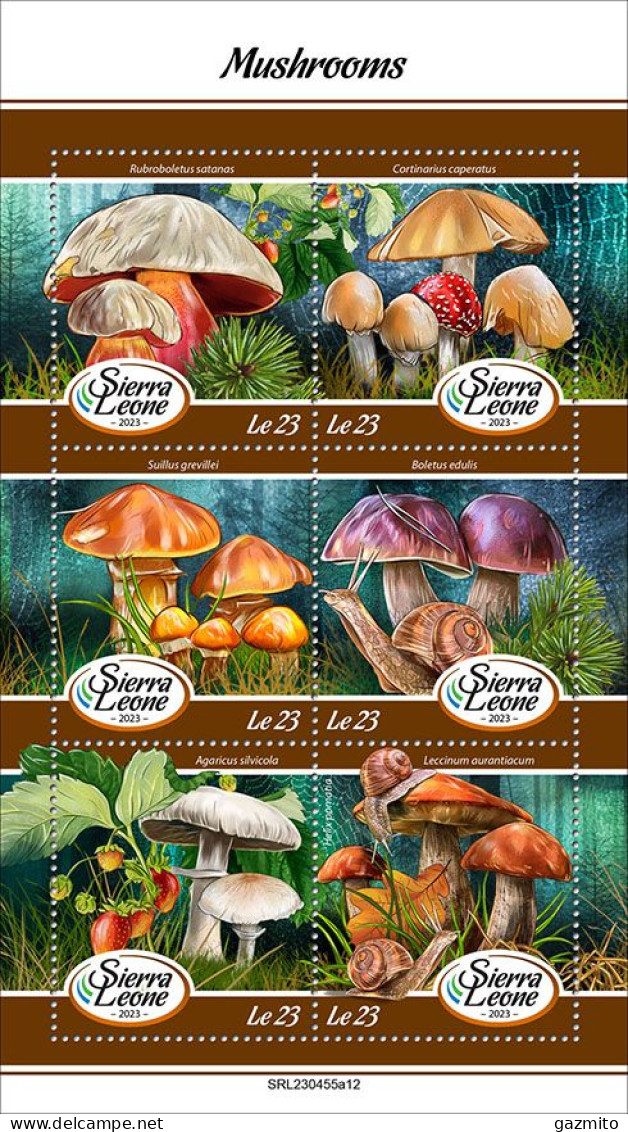Sierra Leone 2023, Mushrooms, Snails, 6val In BF - Sierra Leone (1961-...)