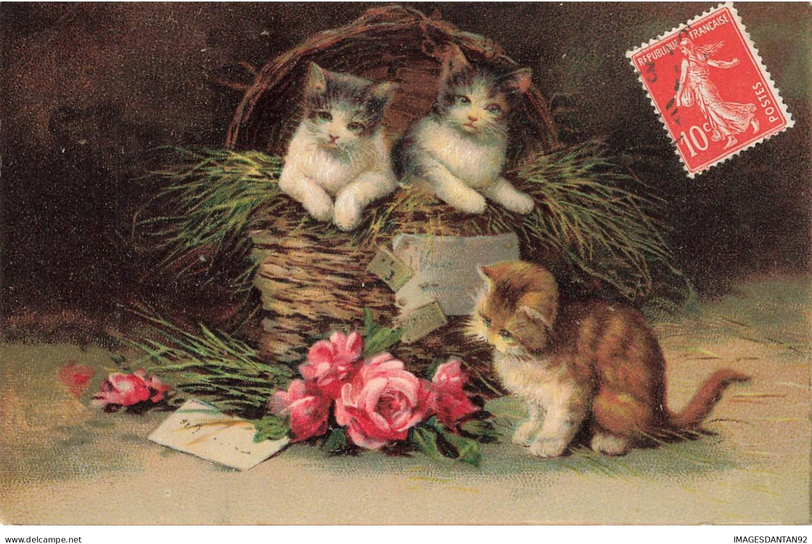 CHATS AI#DC919 TROIS CHATS DONT DEUX DANS UNE CORBEILLE ET UN DEVANT DES FLEURS - Gatos