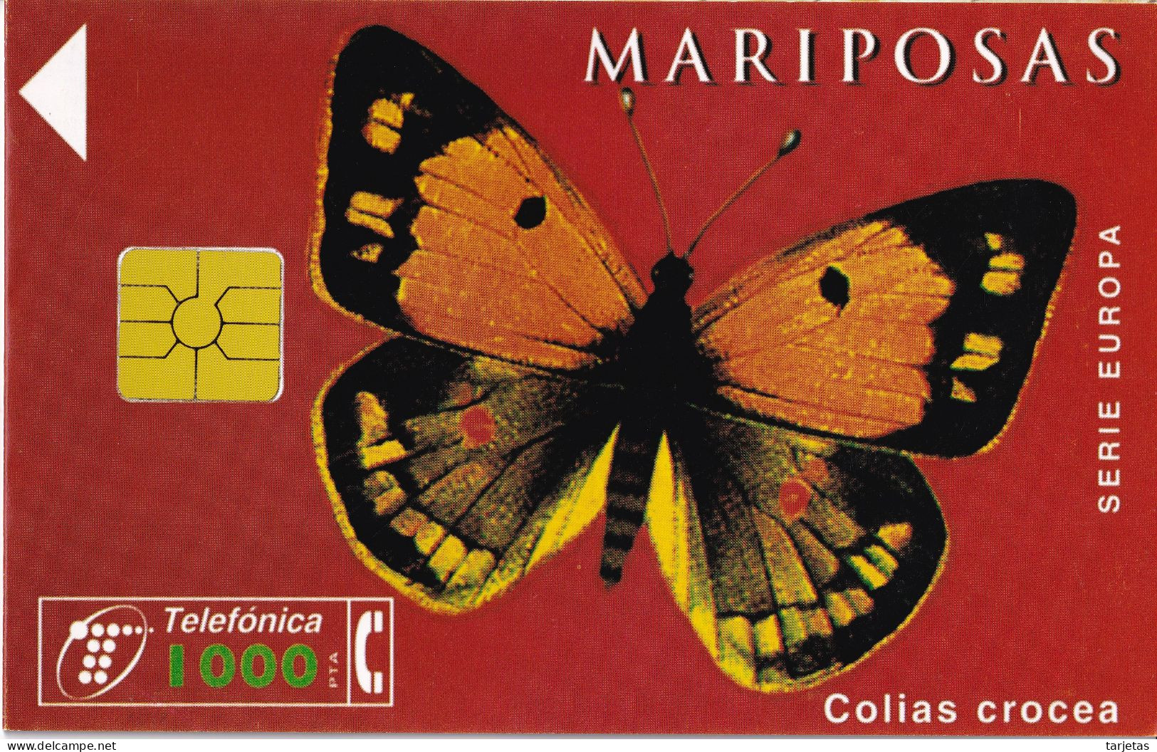 FOLDER DE ESPAÑA CON 4 TARJETAS DE MARIPOSAS (MARIPOSA-BUTTERFLY) TIRADA 800 - Privé-uitgaven