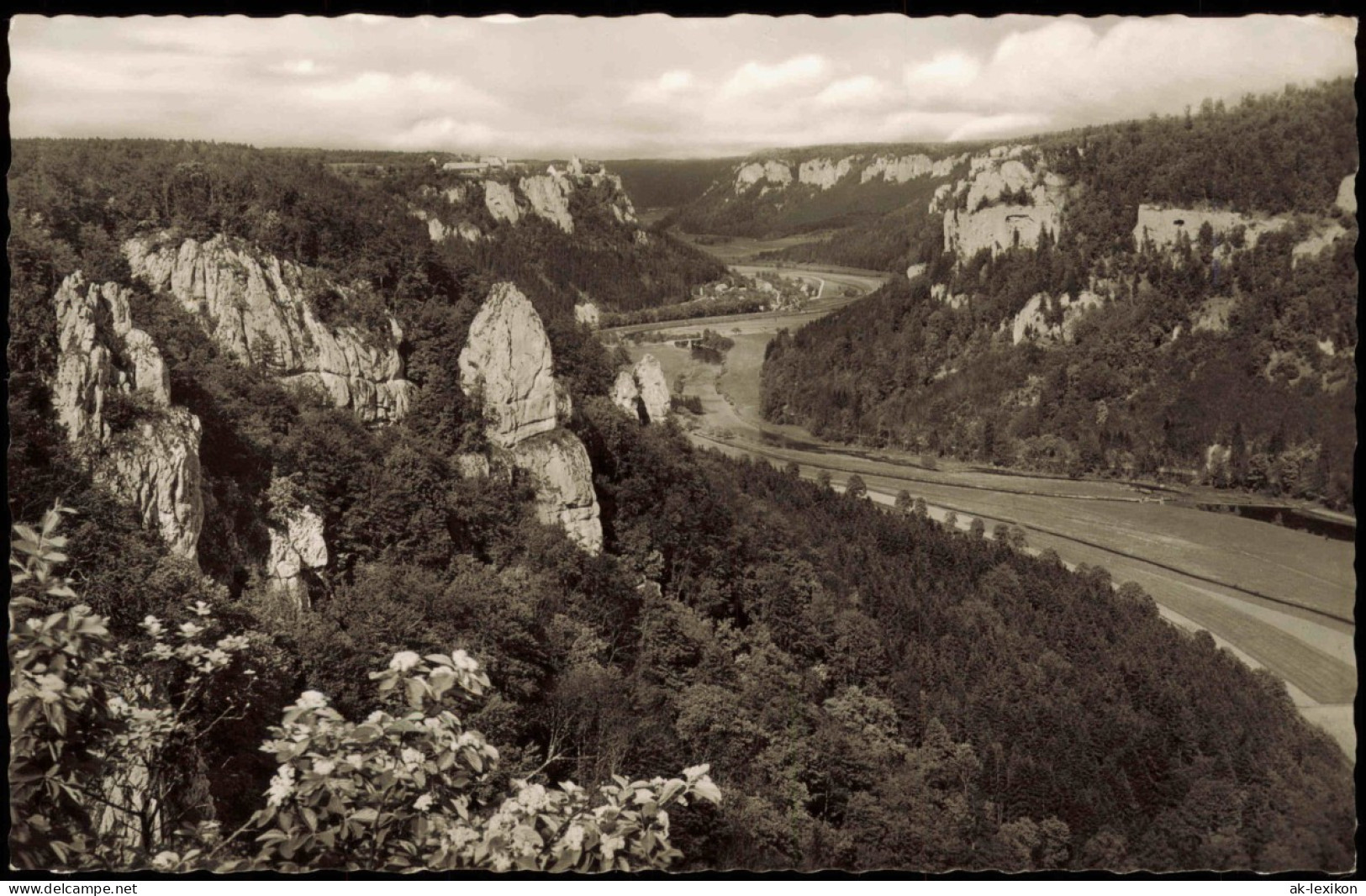 Ansichtskarte Beuron Blick Vom Eichfelsen Auf Schloß Werenwag 1958 - Sonstige & Ohne Zuordnung