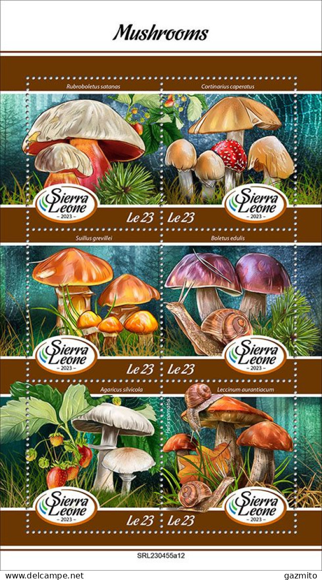 Sierra Leone 2023, Mushrooms, Snails, 6val In BF - Funghi