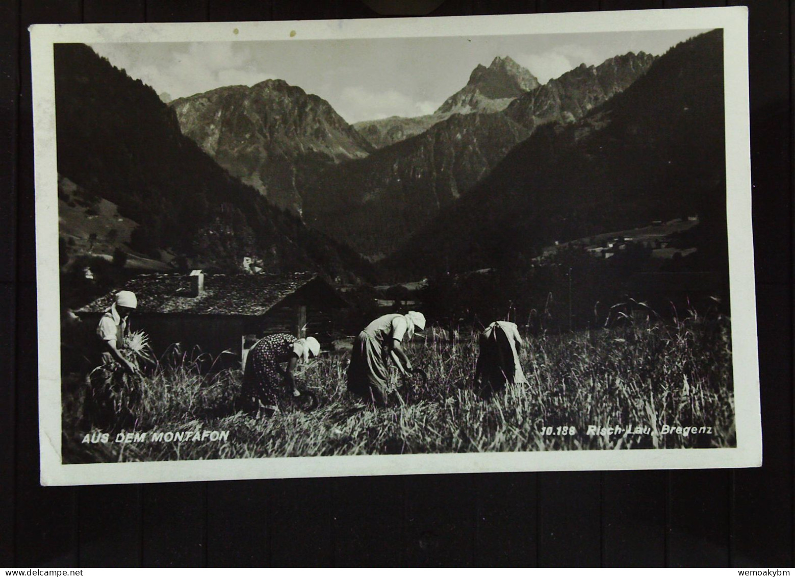 Österreich: AK Von Risch-Lau (Bregenz) Im Montafon Mit Frauen Bei Der Heuernte V. 15.7.1938 Mit 6 Pf Hindenburg Knr. 516 - Bregenz