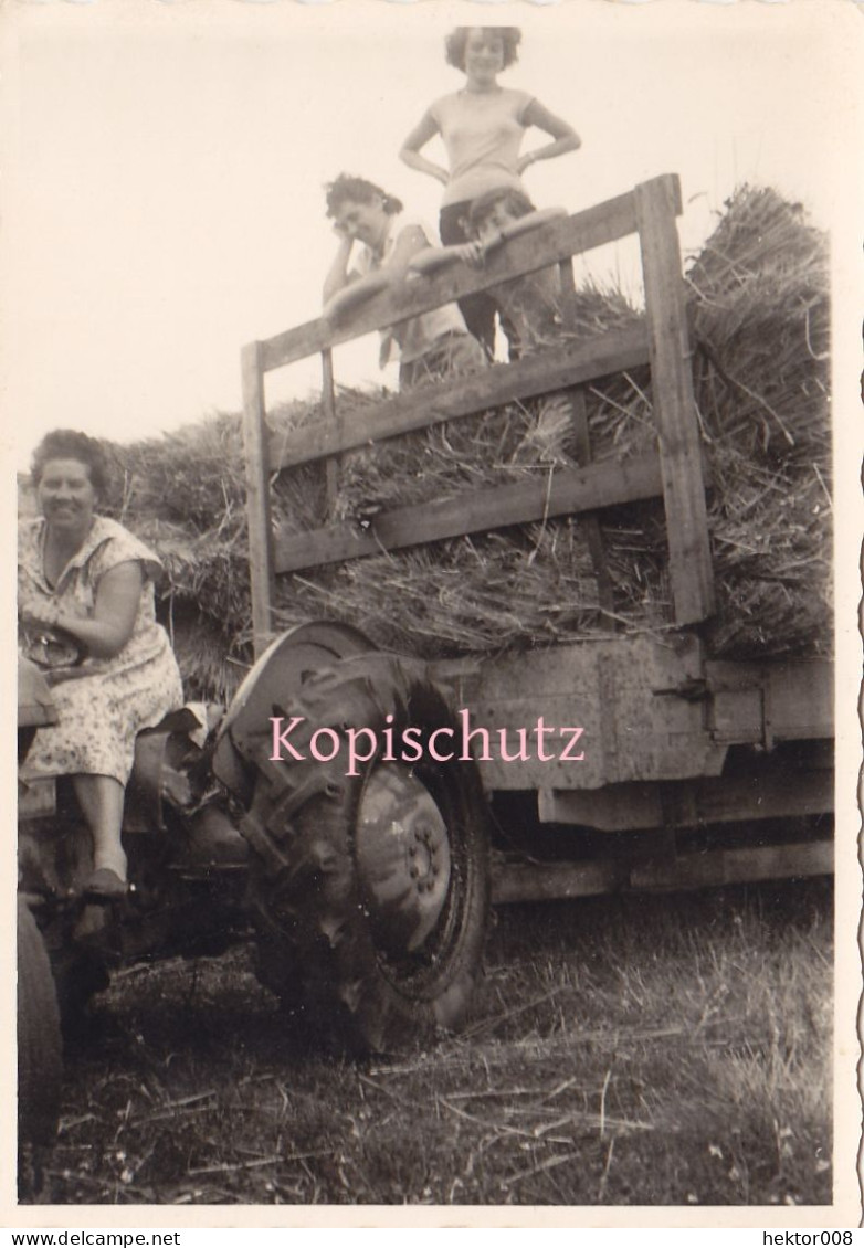 Altes Foto  Vintage.3 Frauen Landwirtschaft  (  B8  ) - Personnes Anonymes