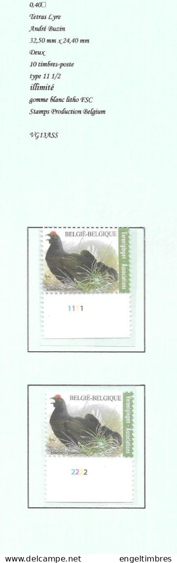Belgium 2011  BUZIN  Birds TERAS Lyre/Korhoe, - Verenigigen/Associations  Stamps - 2011-..