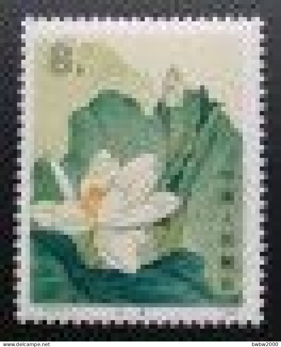 China T54, Lotus(4-1)White Lotus《荷花》（4-1）白莲 - Nuevos