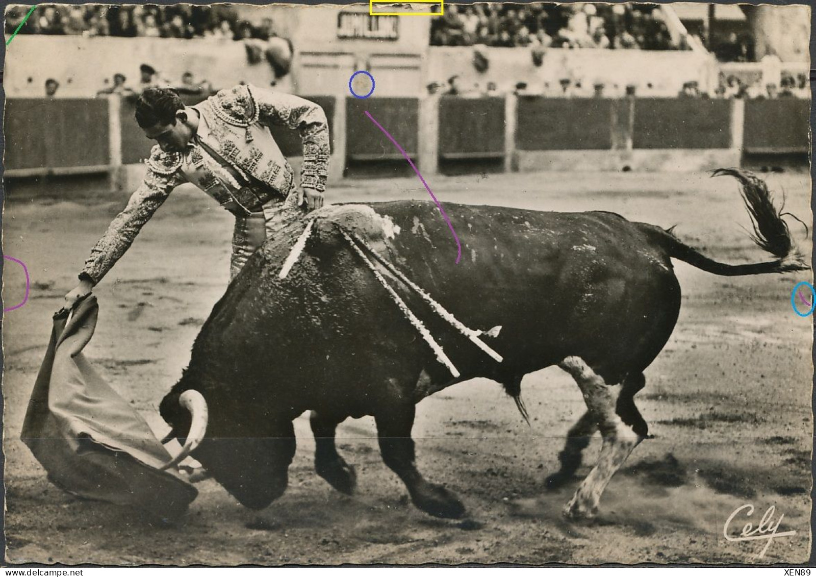 CPSM - Muletazo Por Bajo - Derechazo - Torero : JUMILLANO - Corrida